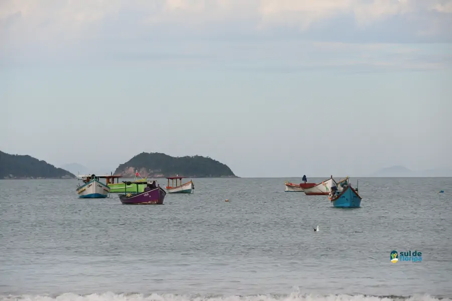 Pântano do Sul dá início à Pesca da Tainha 2025 com fé, tradição e união comunitária 72 Pântano do Sul dá início à Pesca da Tainha 2025 com fé, tradição e união comunitária 72