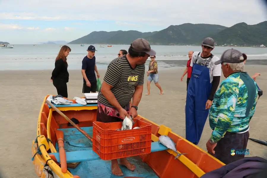 Pântano do Sul dá início à Pesca da Tainha 2025 com fé, tradição e união comunitária 77 Pântano do Sul dá início à Pesca da Tainha 2025 com fé, tradição e união comunitária 77