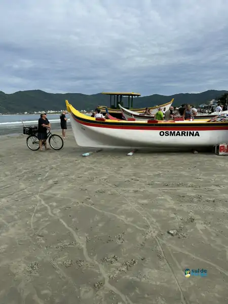 Pântano do Sul dá início à Pesca da Tainha 2025 com fé, tradição e união comunitária 82 Pântano do Sul dá início à Pesca da Tainha 2025 com fé, tradição e união comunitária 82