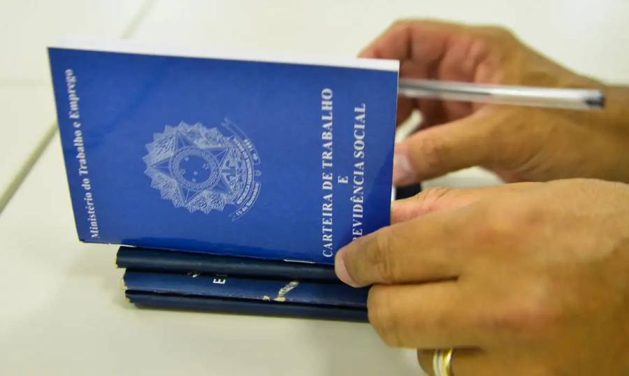 Desemprego entre jovens cai pela metade entre 2019 e 2024 1 Desemprego entre jovens cai pela metade entre 2019 e 2024 1