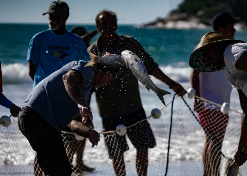 Estado contesta fundamentos da portaria federal que impõe cotas para a pesca da tainha em SC 1 Estado contesta fundamentos da portaria federal que impõe cotas para a pesca da tainha em SC 1