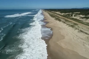 Leia mais sobre o artigo IMA divulga relatório mensal de balneabilidade de abril