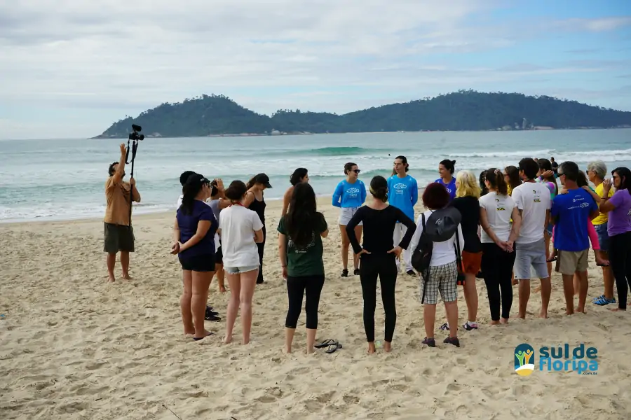 Mutirão do Projeto Meros do Brasil mobiliza voluntários na limpeza da Praia do Campeche 31 Mutirão do Projeto Meros do Brasil mobiliza voluntários na limpeza da Praia do Campeche 31