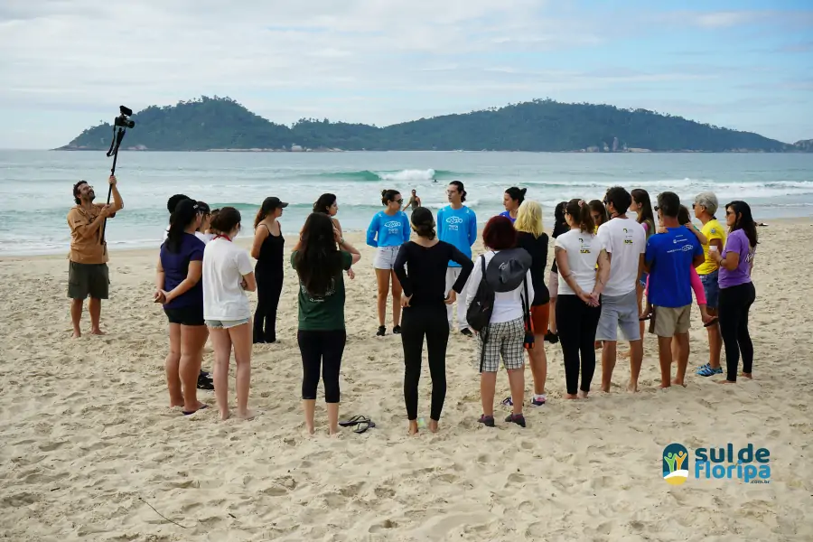 Mutirão do Projeto Meros do Brasil mobiliza voluntários na limpeza da Praia do Campeche 32 Mutirão do Projeto Meros do Brasil mobiliza voluntários na limpeza da Praia do Campeche 32