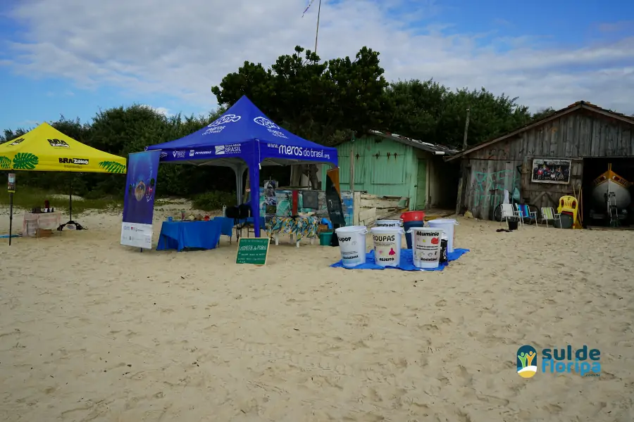 Mutirão do Projeto Meros do Brasil mobiliza voluntários na limpeza da Praia do Campeche 9 Mutirão do Projeto Meros do Brasil mobiliza voluntários na limpeza da Praia do Campeche 9