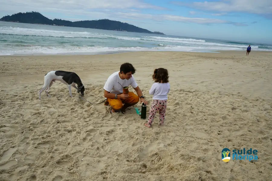 Mutirão do Projeto Meros do Brasil mobiliza voluntários na limpeza da Praia do Campeche 14 Mutirão do Projeto Meros do Brasil mobiliza voluntários na limpeza da Praia do Campeche 14