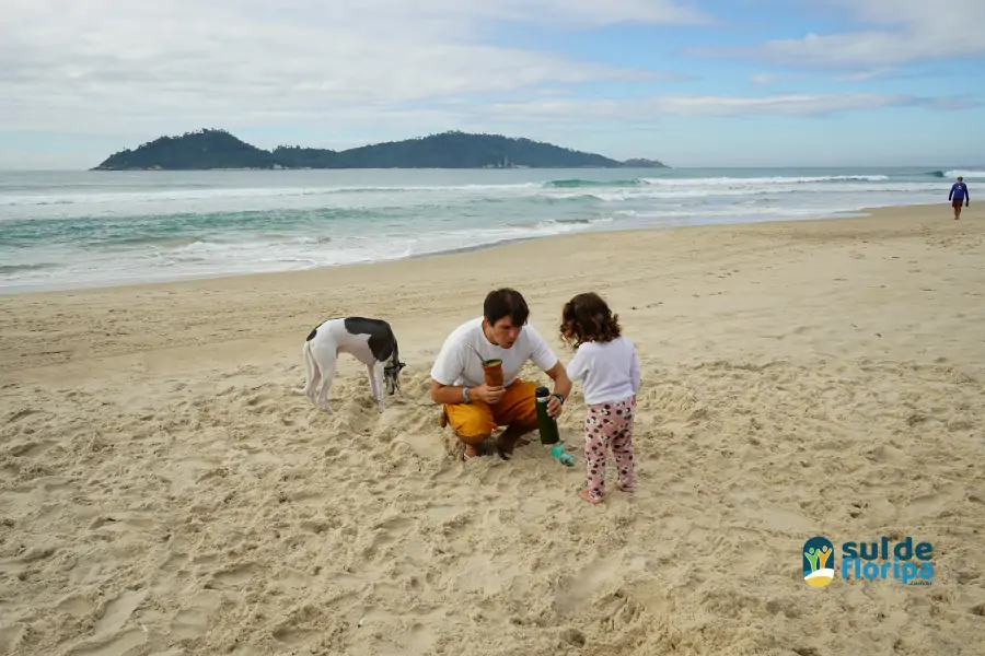 Mutirão do Projeto Meros do Brasil mobiliza voluntários na limpeza da Praia do Campeche 15 Mutirão do Projeto Meros do Brasil mobiliza voluntários na limpeza da Praia do Campeche 15