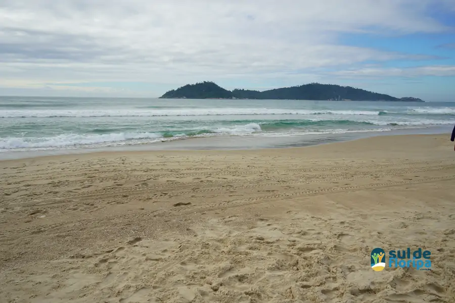 Mutirão do Projeto Meros do Brasil mobiliza voluntários na limpeza da Praia do Campeche 20 Mutirão do Projeto Meros do Brasil mobiliza voluntários na limpeza da Praia do Campeche 20