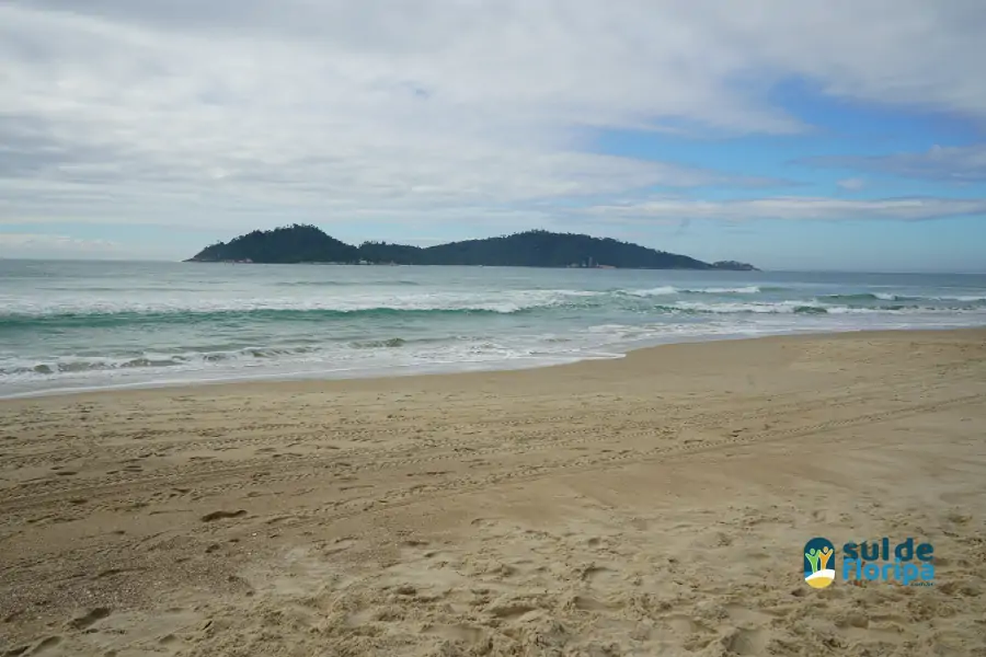 Mutirão do Projeto Meros do Brasil mobiliza voluntários na limpeza da Praia do Campeche 22 Mutirão do Projeto Meros do Brasil mobiliza voluntários na limpeza da Praia do Campeche 22