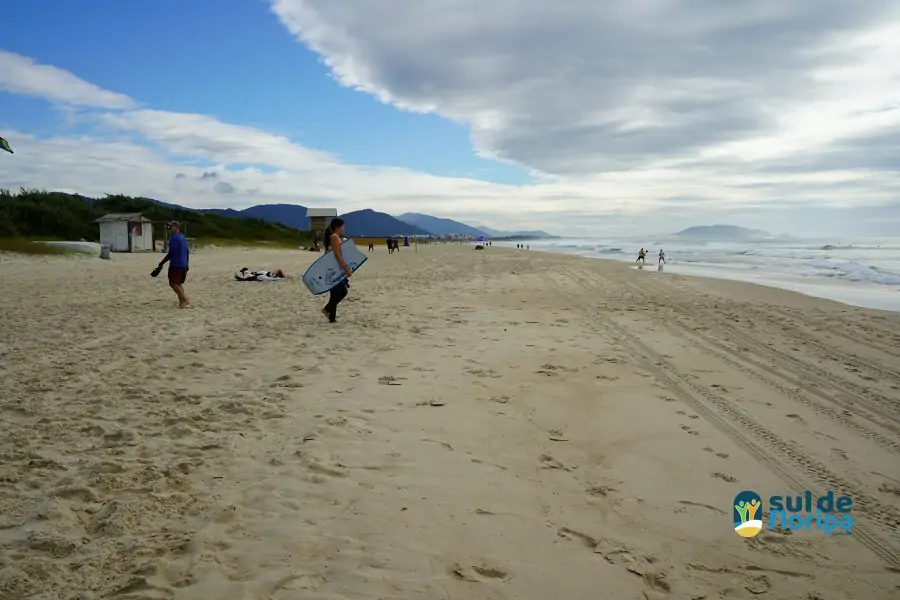 Mutirão do Projeto Meros do Brasil mobiliza voluntários na limpeza da Praia do Campeche 25 Mutirão do Projeto Meros do Brasil mobiliza voluntários na limpeza da Praia do Campeche 25