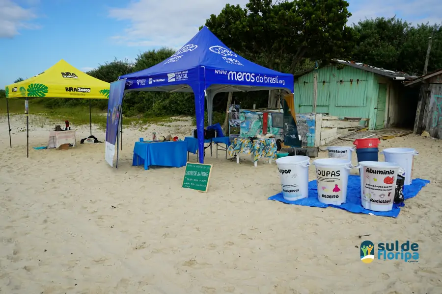 Mutirão do Projeto Meros do Brasil mobiliza voluntários na limpeza da Praia do Campeche 1 Mutirão do Projeto Meros do Brasil mobiliza voluntários na limpeza da Praia do Campeche 1