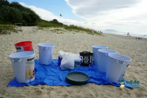Leia mais sobre o artigo Mutirão do Projeto Meros do Brasil mobiliza voluntários na limpeza da Praia do Campeche