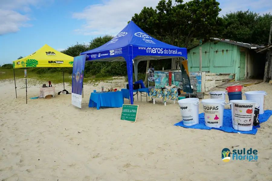 Mutirão do Projeto Meros do Brasil mobiliza voluntários na limpeza da Praia do Campeche 3 Mutirão do Projeto Meros do Brasil mobiliza voluntários na limpeza da Praia do Campeche 3