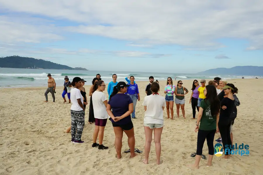 Mutirão do Projeto Meros do Brasil mobiliza voluntários na limpeza da Praia do Campeche 8 Mutirão do Projeto Meros do Brasil mobiliza voluntários na limpeza da Praia do Campeche 8
