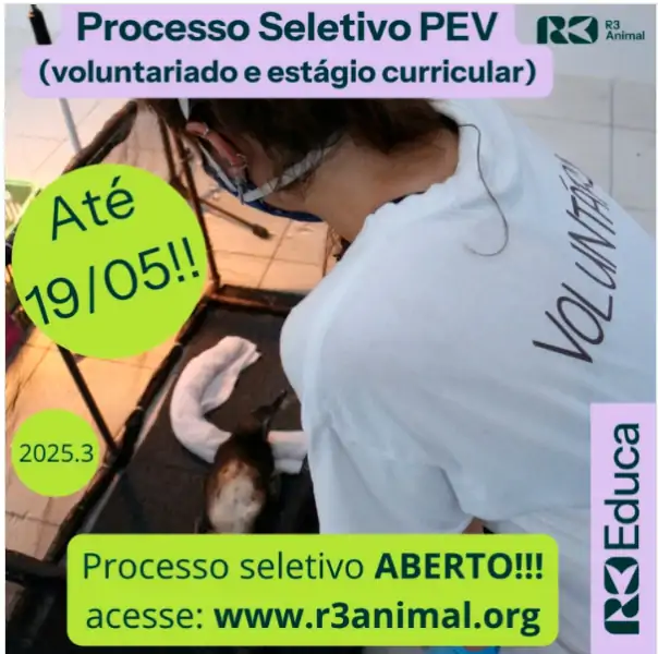 R3 Animal abre processo seletivo para voluntariado e estágio curricular no terceiro quadrimestre de 2025 5 R3 Animal abre processo seletivo para voluntariado e estágio curricular no terceiro quadrimestre de 2025 5