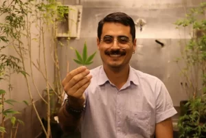 Leia mais sobre o artigo Câmara de Florianópolis aprova Frente Parlamentar em Defesa da Cannabis Industrial