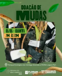 Leia mais sobre o artigo Florianópolis distribui mudas nativas gratuitamente nesta quinta-feira