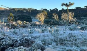 Leia mais sobre o artigo Serra Catarinense tem sensação térmica de 29 ºC negativos