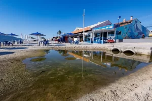 Leia mais sobre o artigo CASAN reforça importância da participação popular no combate a crimes ambientais