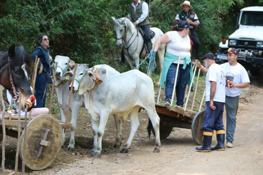 Sertão do Ribeirão celebra cultura, memória e comunidade com a 5ª Carreata do Sertão 3