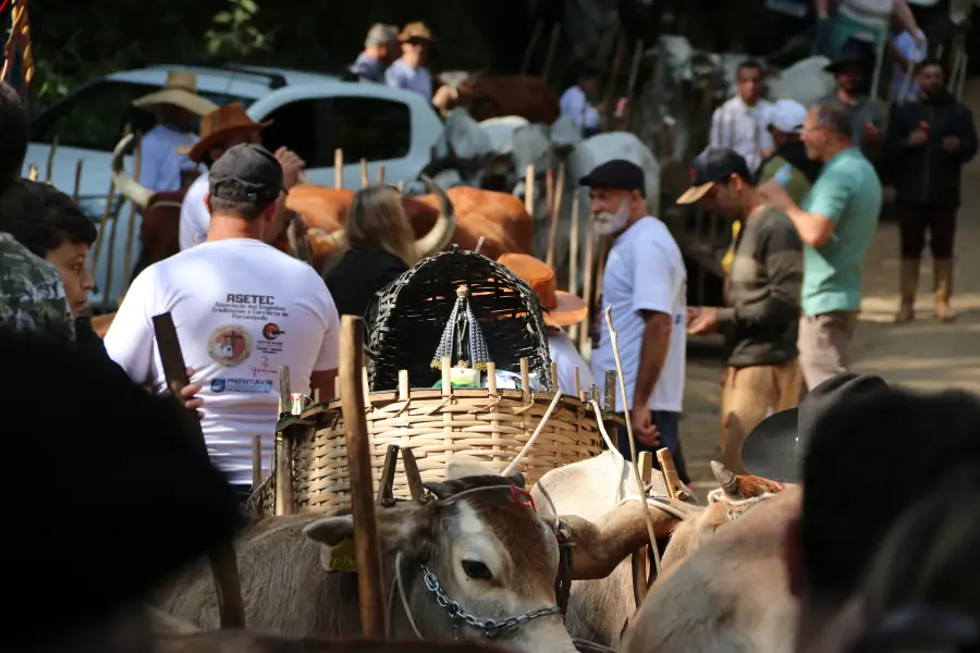 Sertão do Ribeirão celebra cultura, memória e comunidade com a 5ª Carreata do Sertão 1