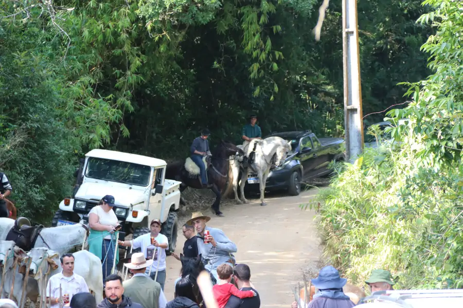 Sertão do Ribeirão celebra cultura, memória e comunidade com a 5ª Carreata do Sertão 4