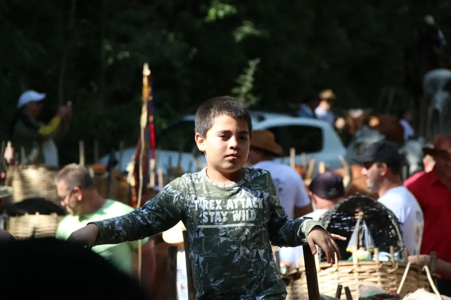 Sertão do Ribeirão celebra cultura, memória e comunidade com a 5ª Carreata do Sertão 2