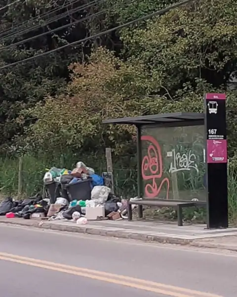 Internauta denuncia acúmulo de lixo próximo a ponto de ônibus no Alto Ribeirão e pede providências 1