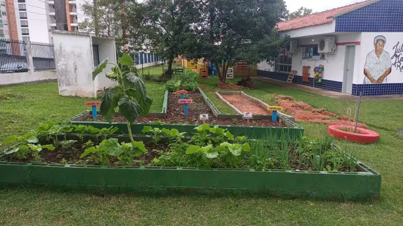 NEIM Júlia Maria Rodrigues revitaliza horta e cria projeto com crianças 1