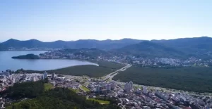 Leia mais sobre o artigo Parque do Manguezal do Itacorubi completa 23 anos como berçário da vida marinha em Florianópolis