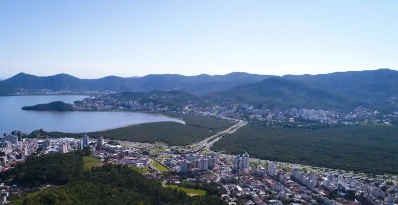 Parque do Manguezal do Itacorubi completa 23 anos como berçário da vida marinha em Florianópolis 1