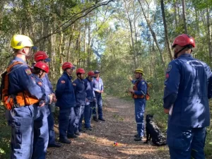 Leia mais sobre o artigo 1° BBM realiza treinamento operacional de busca terrestre em Florianópolis