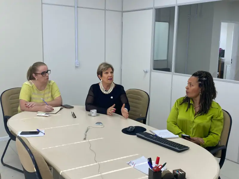 Assistência Social de SC reúne rede de proteção para discutir medidas emergenciais contra violência infantil 1