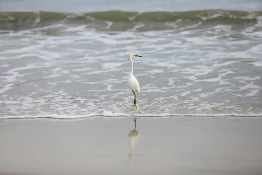 Balneabilidade: IMA divulga relatório de julho com previsão de nova rodada de coletas para a próxima semana 1