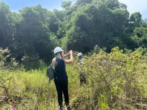 Leia mais sobre o artigo CASAN investe em restauração ecológica nas dunas da Lagoa da Conceição
