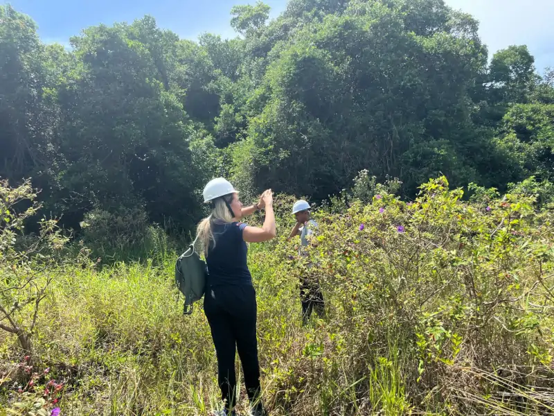 CASAN investe em restauração ecológica nas dunas da Lagoa da Conceição 1
