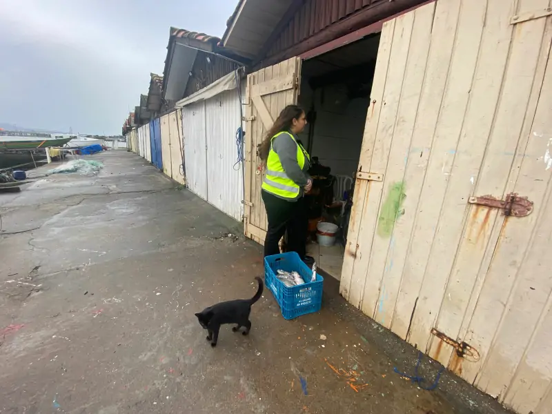 CASAN visita ranchos de pescadores para pesquisa sobre Sistema de Saneamento no Sul da Ilha 1