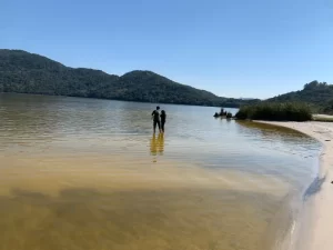 Leia mais sobre o artigo Estudantes participam de educação ambiental na Lagoa do Peri