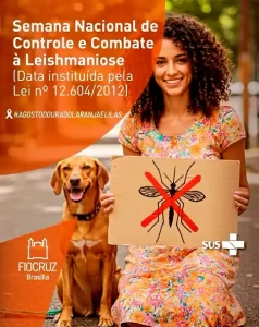 Leia mais sobre o artigo Semana Nacional de Controle e Combate à Leishmaniose reforça prevenção e cuidados