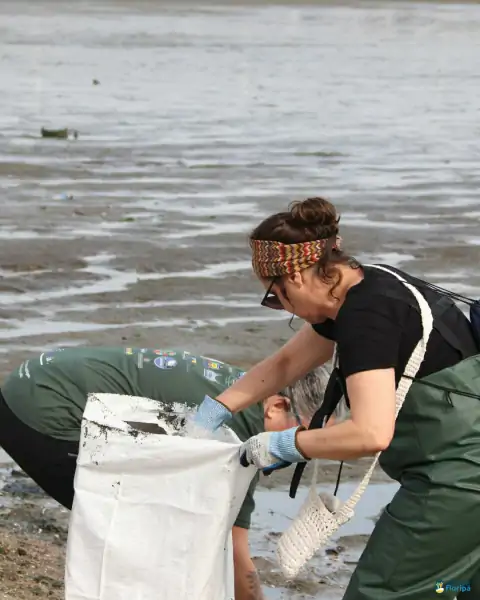 Mutirão de limpeza mobiliza comunidade e reforça a importância da preservação marinha em Florianópolis 21