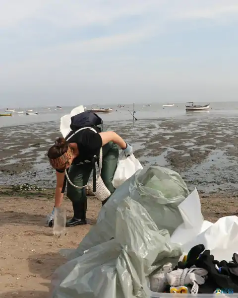 Mutirão de limpeza mobiliza comunidade e reforça a importância da preservação marinha em Florianópolis 30