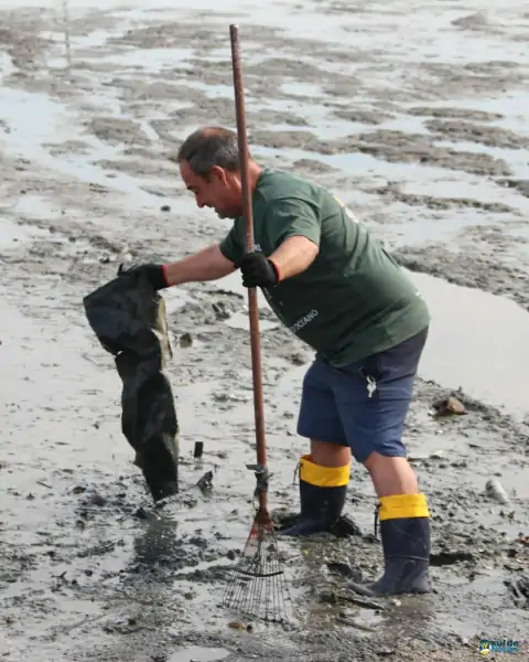 Mutirão de limpeza mobiliza comunidade e reforça a importância da preservação marinha em Florianópolis 32