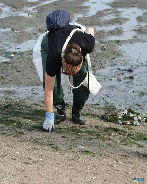 Mutirão de limpeza mobiliza comunidade e reforça a importância da preservação marinha em Florianópolis 33