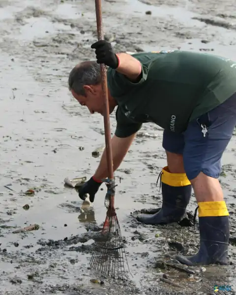 Mutirão de limpeza mobiliza comunidade e reforça a importância da preservação marinha em Florianópolis 35