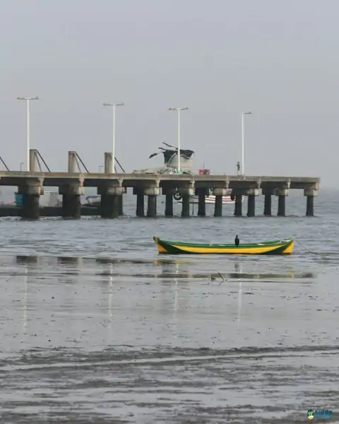 Mutirão de limpeza mobiliza comunidade e reforça a importância da preservação marinha em Florianópolis 46