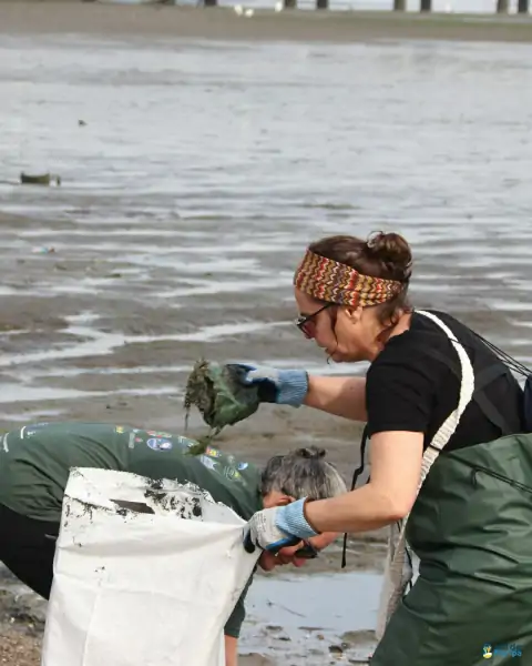 Mutirão de limpeza mobiliza comunidade e reforça a importância da preservação marinha em Florianópolis 23