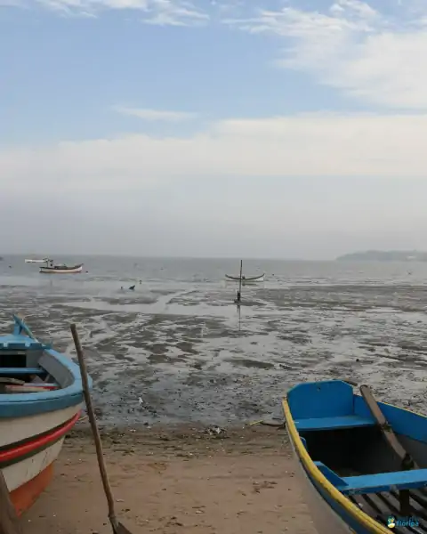 Mutirão de limpeza mobiliza comunidade e reforça a importância da preservação marinha em Florianópolis 50
