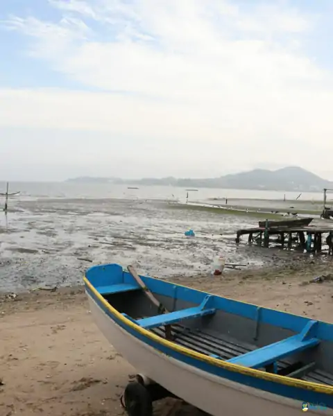 Mutirão de limpeza mobiliza comunidade e reforça a importância da preservação marinha em Florianópolis 2