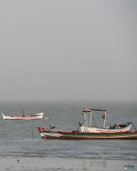 Mutirão de limpeza mobiliza comunidade e reforça a importância da preservação marinha em Florianópolis 11