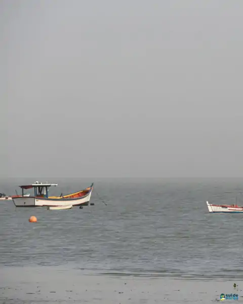 Mutirão de limpeza mobiliza comunidade e reforça a importância da preservação marinha em Florianópolis 12
